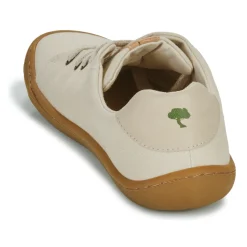 Dream in Green - ZAPHIRI