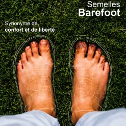 Dream in Green - ZAPHIRI