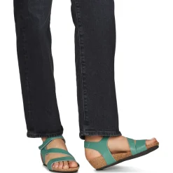 Dream in Green - ZIMINI