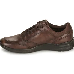Ecco - IRVING Marron Best