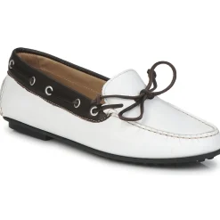 Ecco - KAYLOR Online