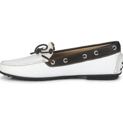 Ecco - KAYLOR Online