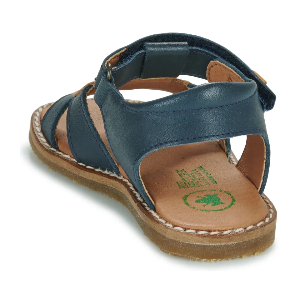 El Naturalista - 5350