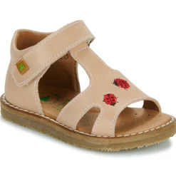 Online El Naturalista - 5348 Rose
