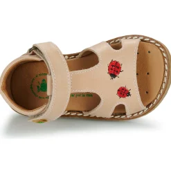 Online El Naturalista - 5348 Rose