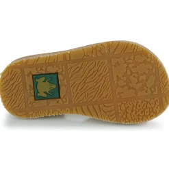 Online El Naturalista - 5348 Rose