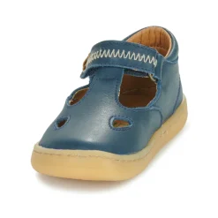 El Naturalista - 5341