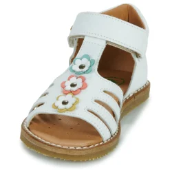 El Naturalista - 5354 Blanc