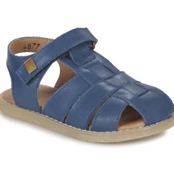 El Naturalista - AFRICA