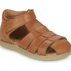 El Naturalista - AFRICA