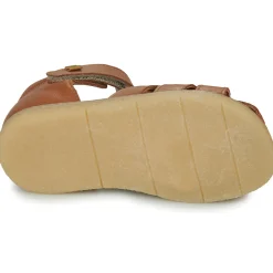 El Naturalista - AFRICA