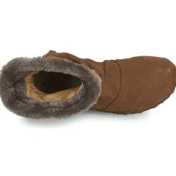 El Naturalista - ANGKOR N5468 Marron