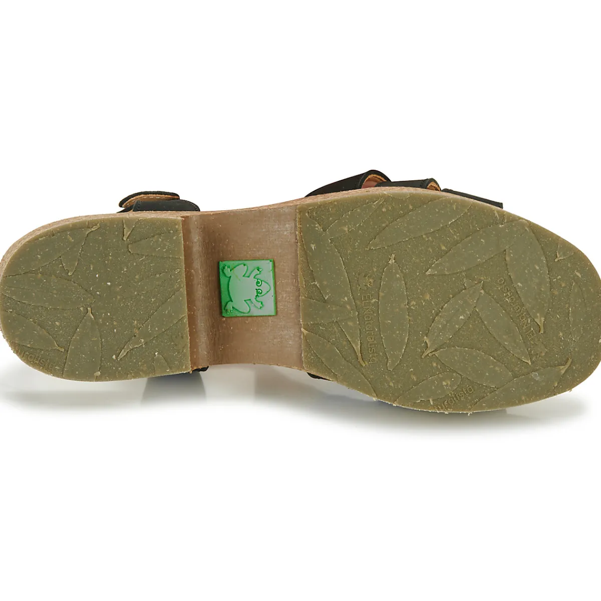 El Naturalista - ARBEQUINA