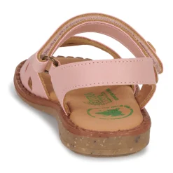 El Naturalista - ATENAS Rose