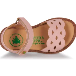 El Naturalista - ATENAS Rose