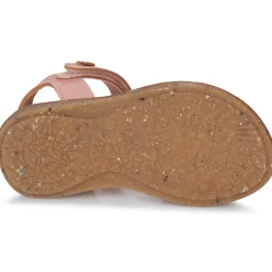 El Naturalista - ATENAS Rose