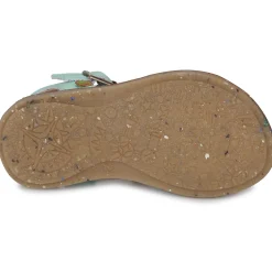 El Naturalista - ATENAS