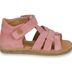 El Naturalista - ATENAS Rose Online