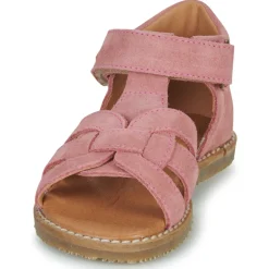 El Naturalista - ATENAS Rose Online