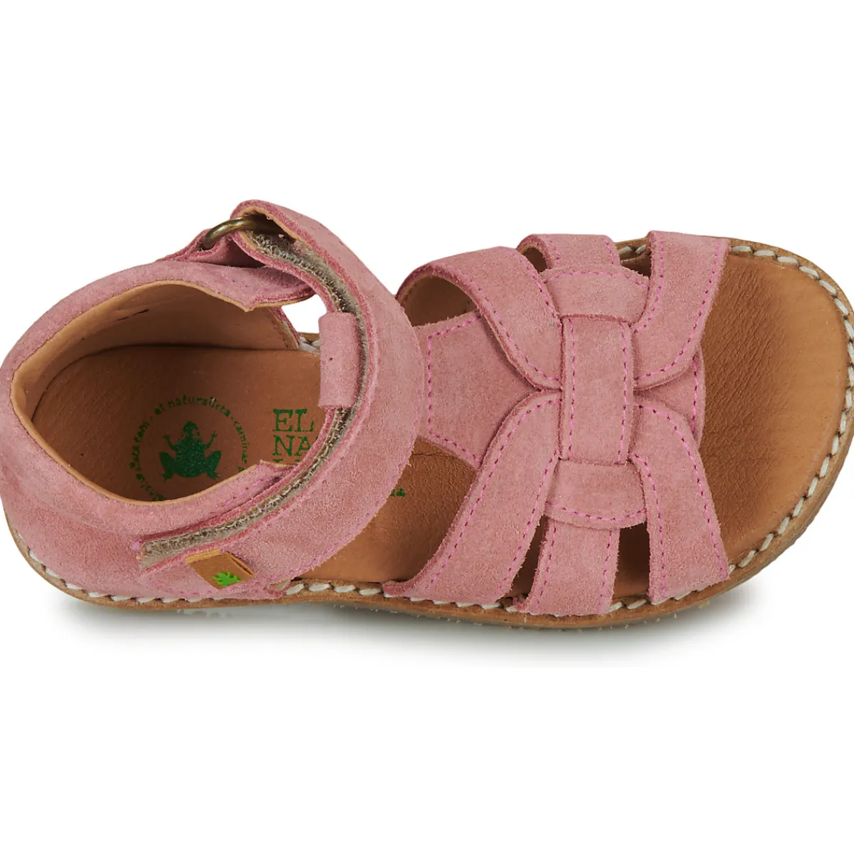 El Naturalista - ATENAS Rose Online