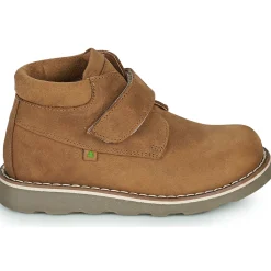 El Naturalista - BROSSI Marron New