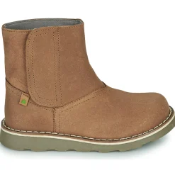 El Naturalista - BROSSI