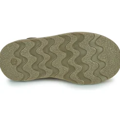 El Naturalista - BROSSI