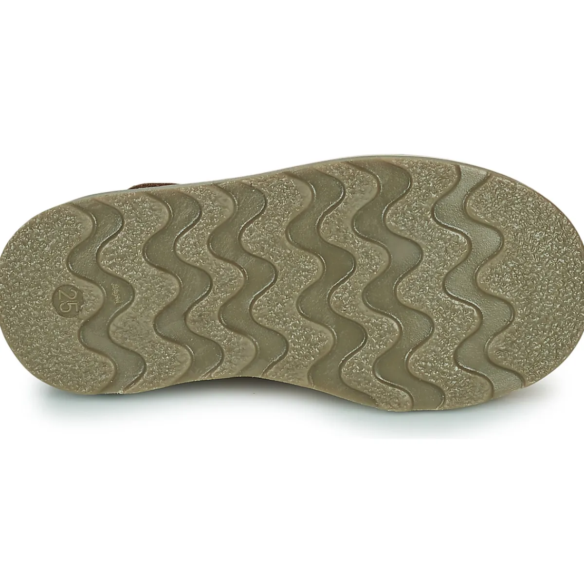 El Naturalista - BROSSI