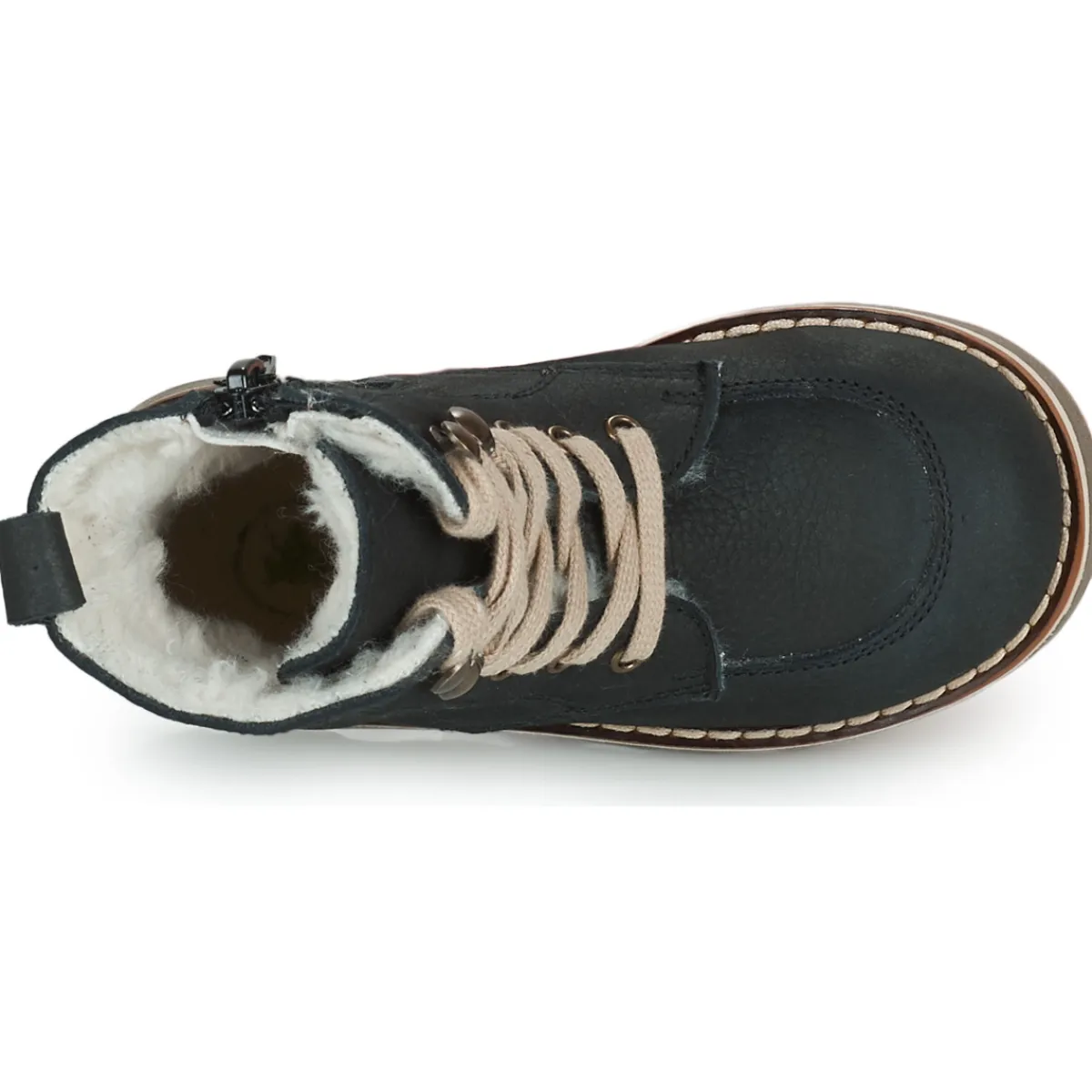 El Naturalista - BROSSI