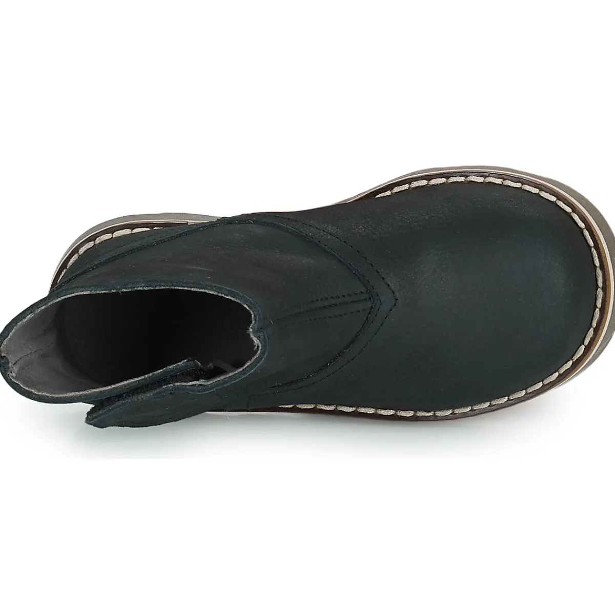 El Naturalista - BROSSI