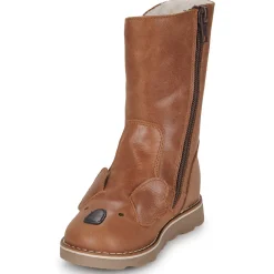 El Naturalista - Brossi