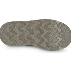 El Naturalista - BROSSI