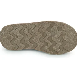 El Naturalista - BROSSI