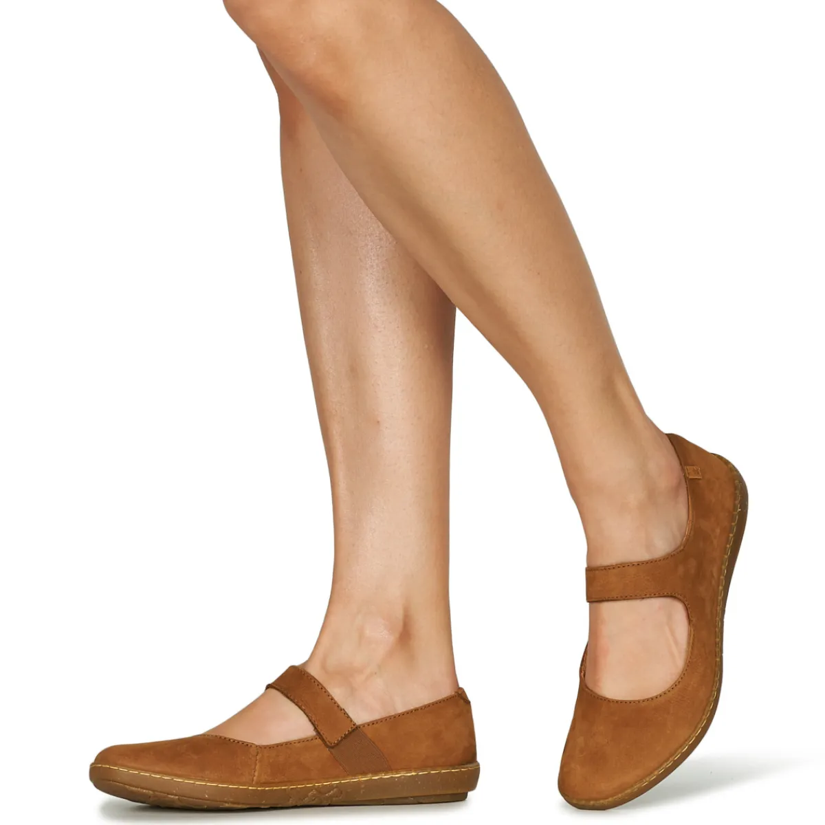 El Naturalista - CORAL N5301