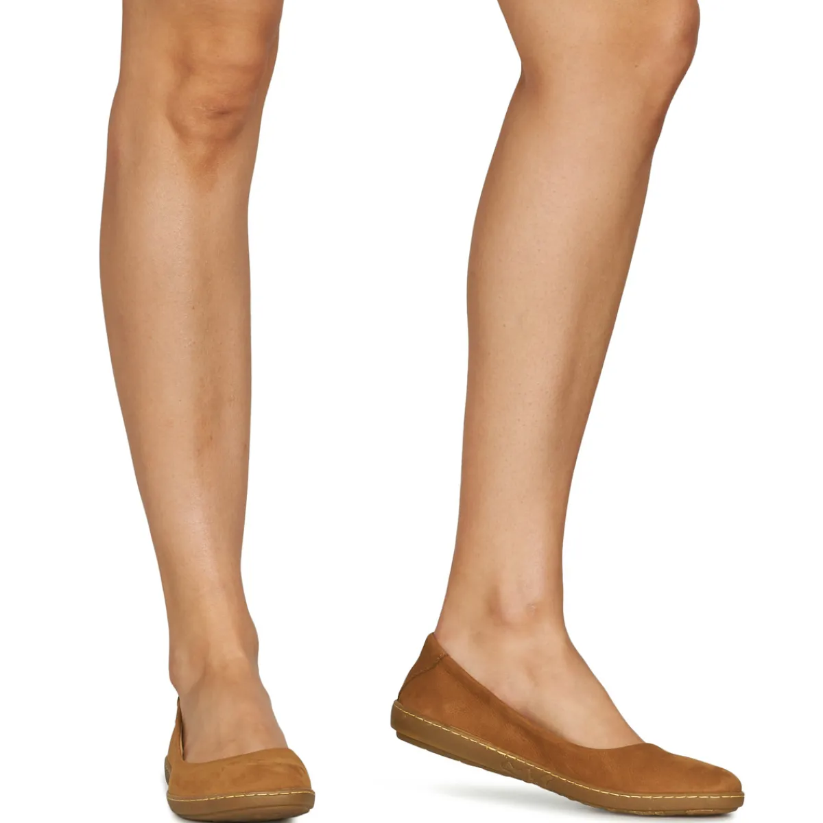 El Naturalista - CORAL N5300