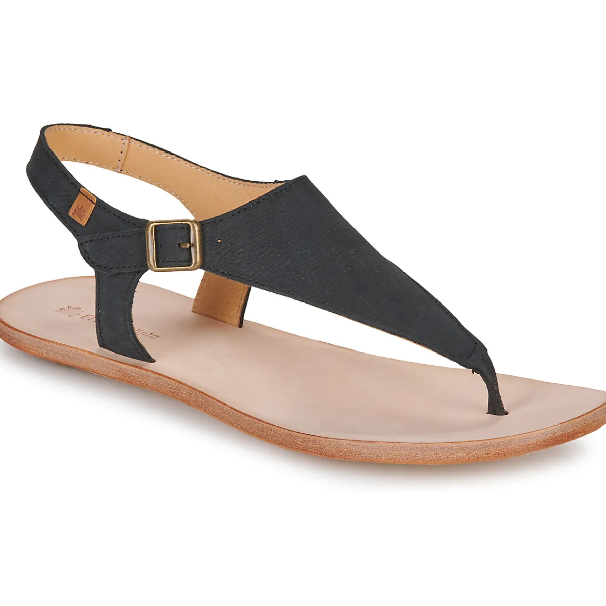 El Naturalista - CORATINA N5710