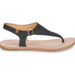 El Naturalista - CORATINA N5710