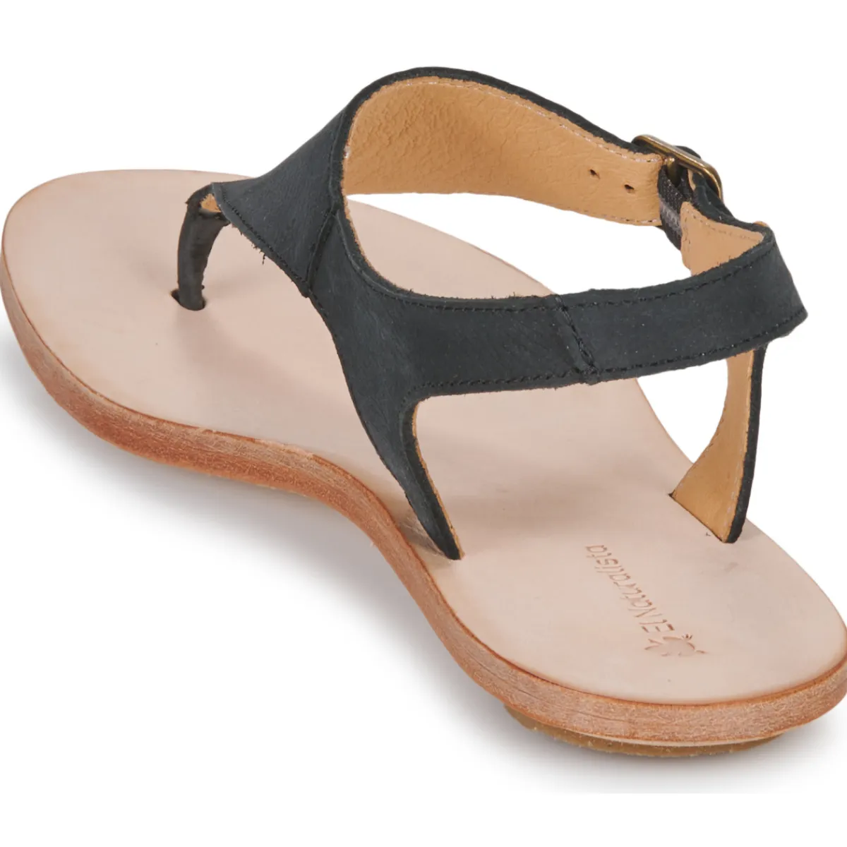 El Naturalista - CORATINA N5710