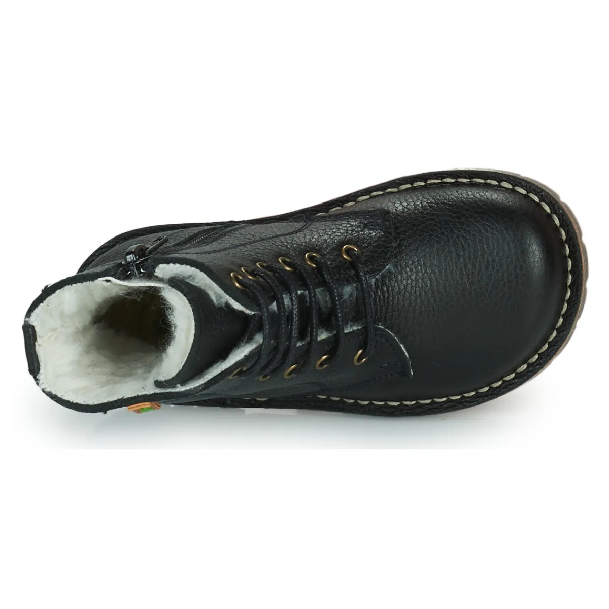 El Naturalista - DENALI