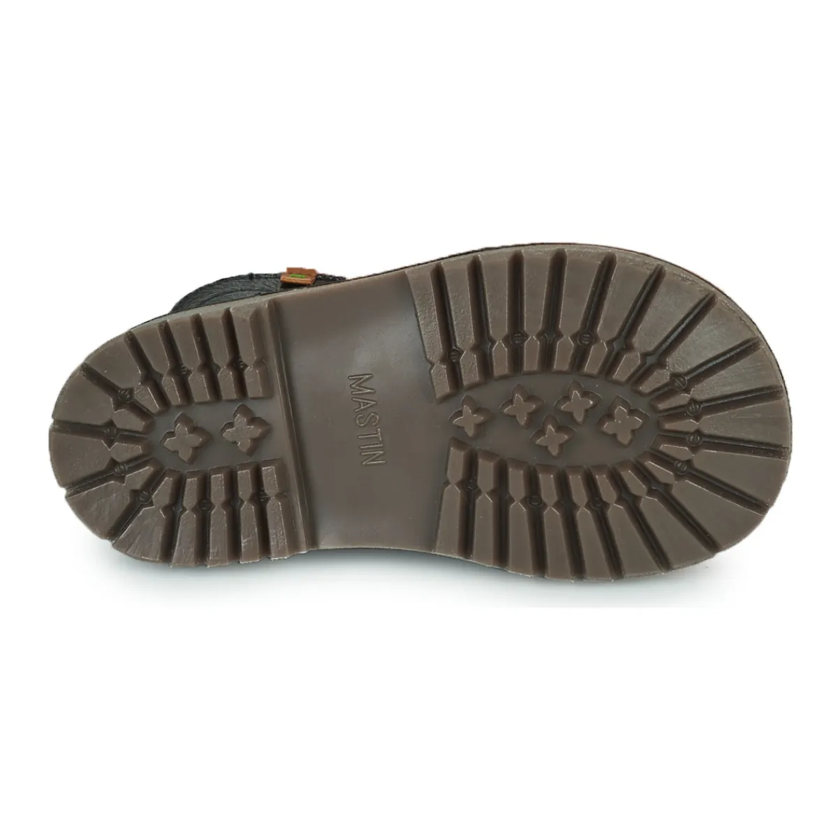 El Naturalista - DENALI