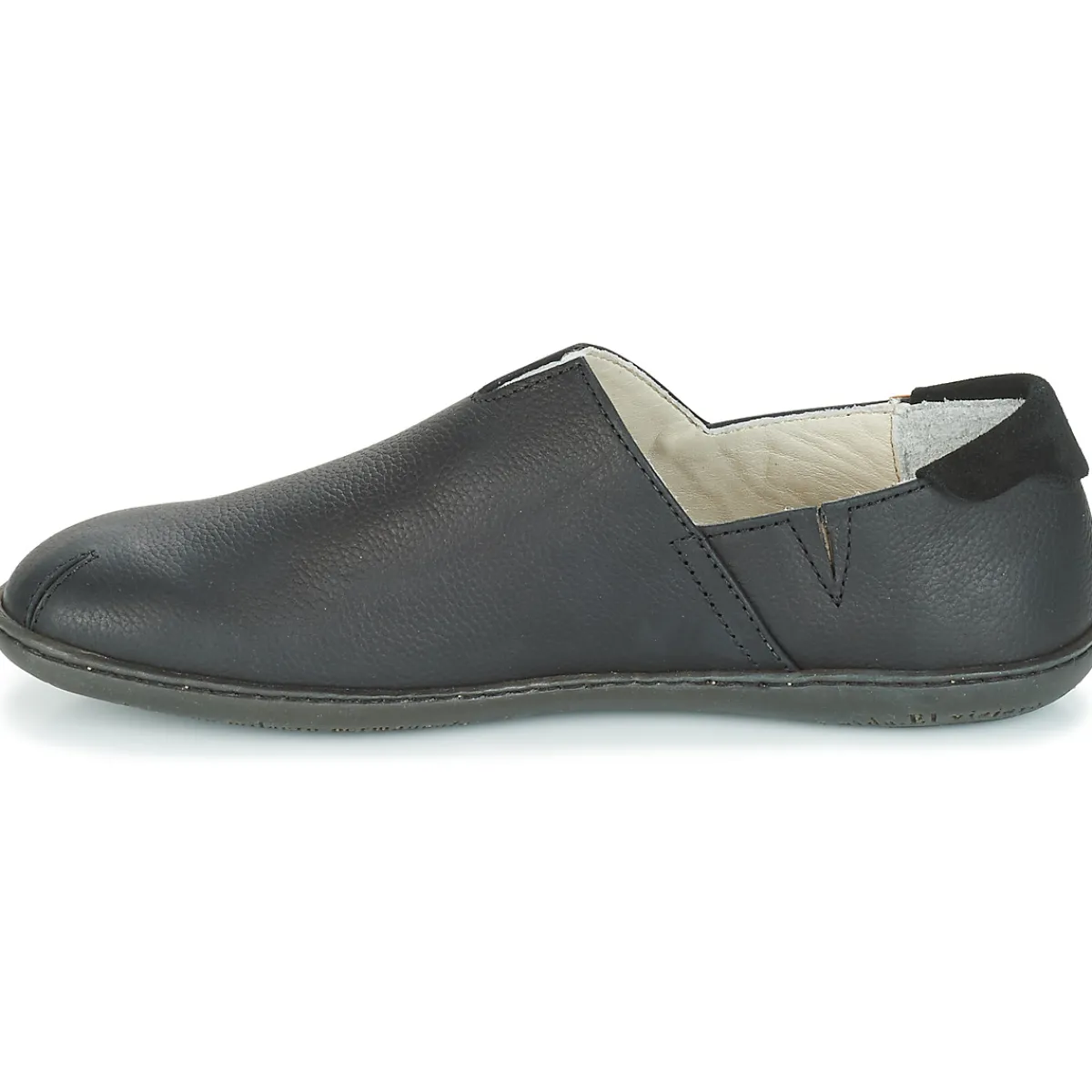 El Naturalista - EL VIAJERO N275