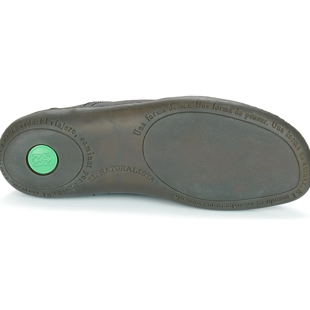 El Naturalista - EL VIAJERO N275