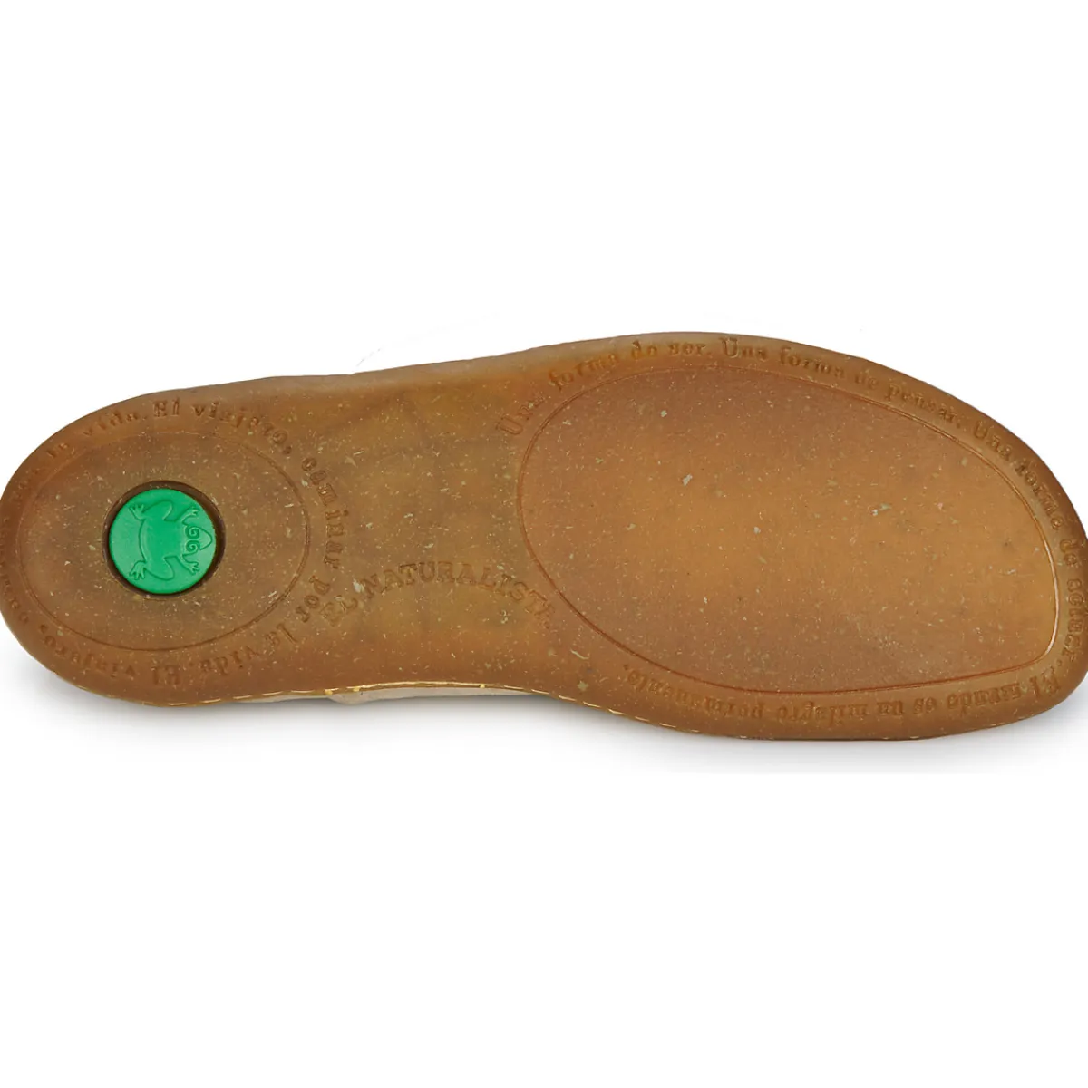 El Naturalista - EL VIAJERO N275