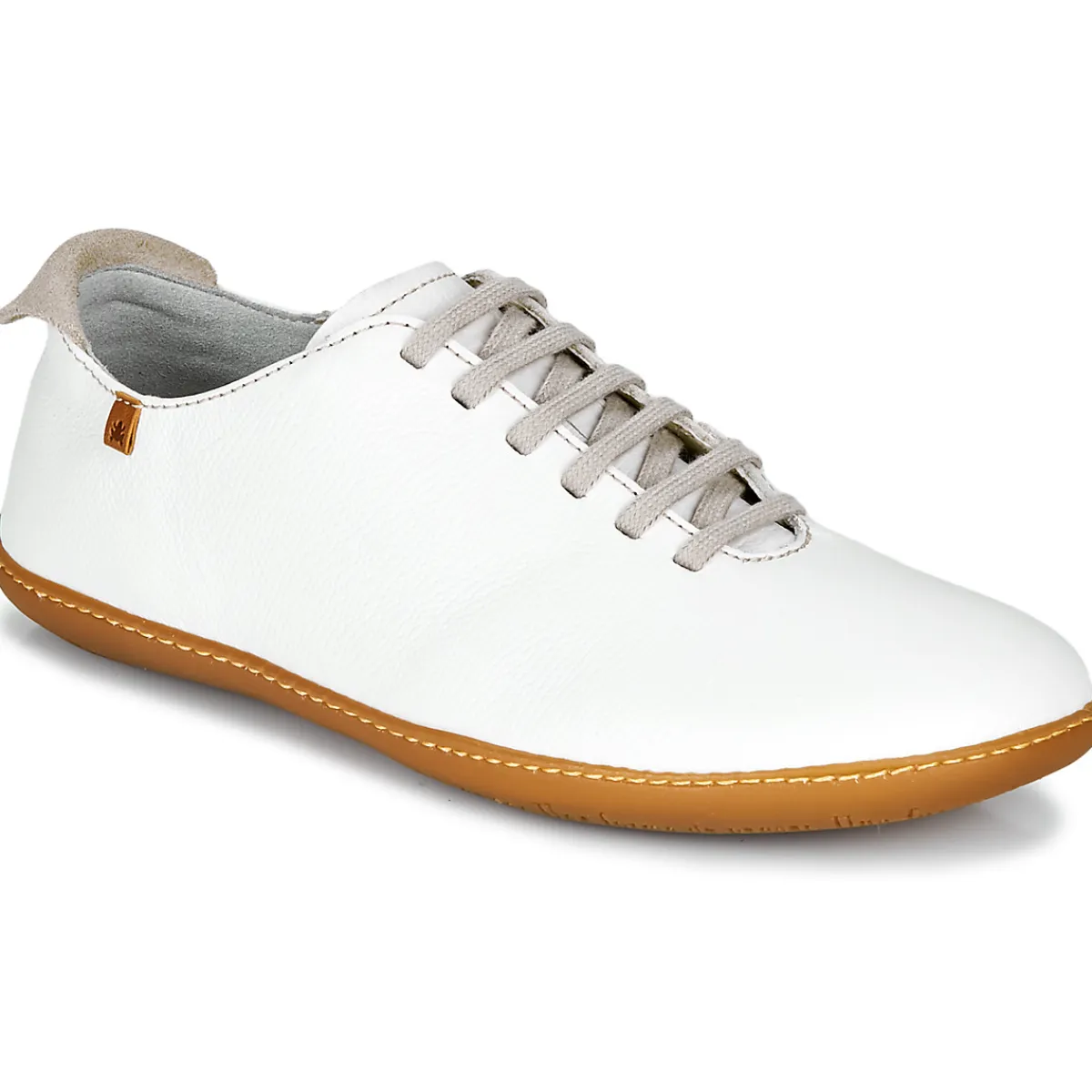 El Naturalista - EL VIAJERO N296