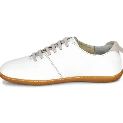 El Naturalista - EL VIAJERO N296