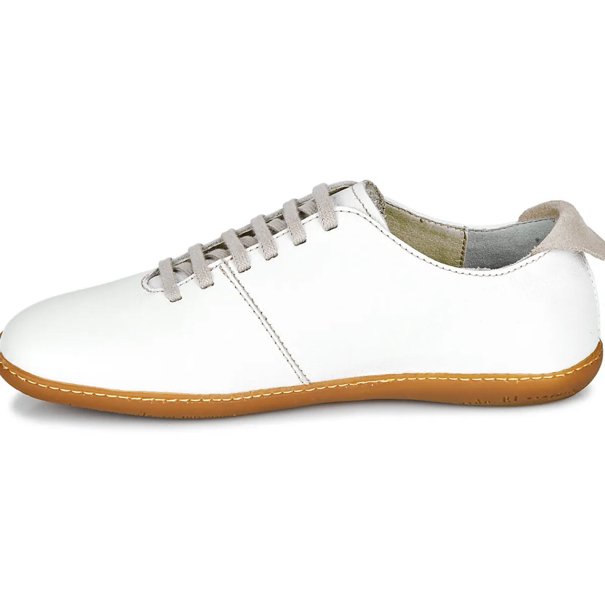 El Naturalista - EL VIAJERO N296