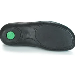 El Naturalista - EL VIAJERO FLIDSU Noir Best