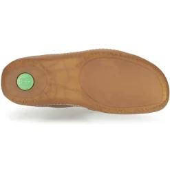 El Naturalista - EL VIAJERO N267