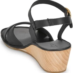 El Naturalista - GAIA N854