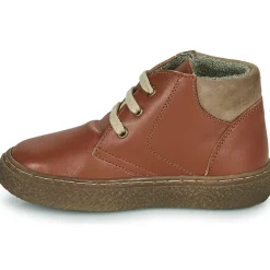 El Naturalista - HELMET